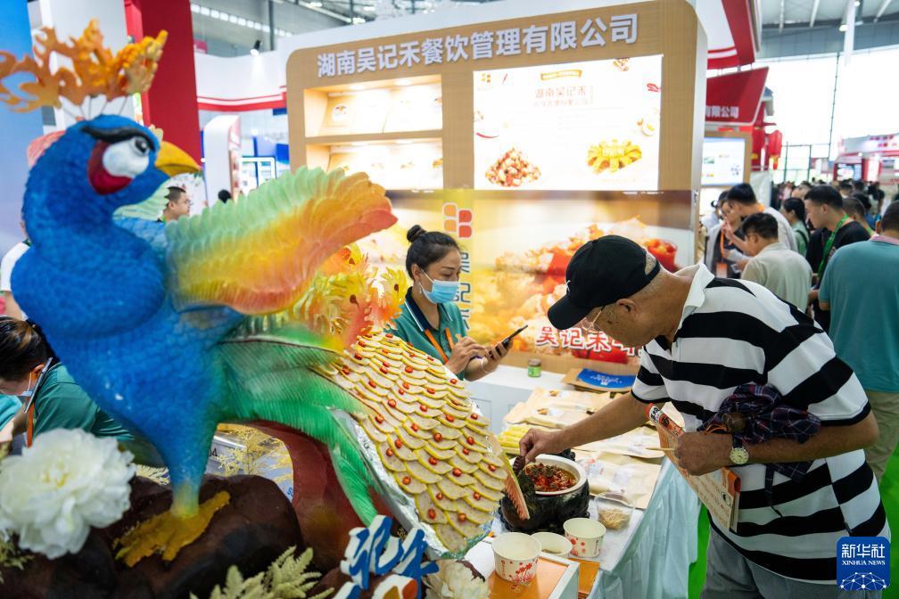 大宝娱乐lg登陆